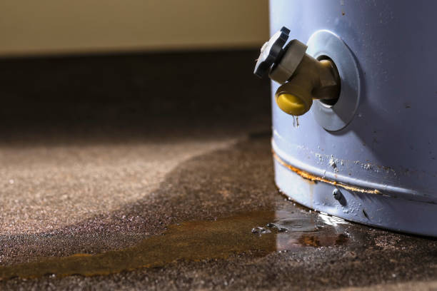 Best Fire Damage Restoration  in Congers, NY