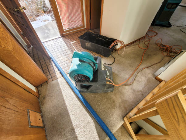 Best Ceiling water damage repair  in Congers, NY