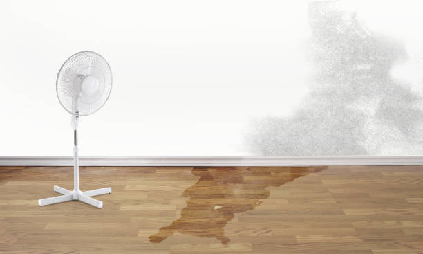 Best Water damage restoration near me  in Congers, NY